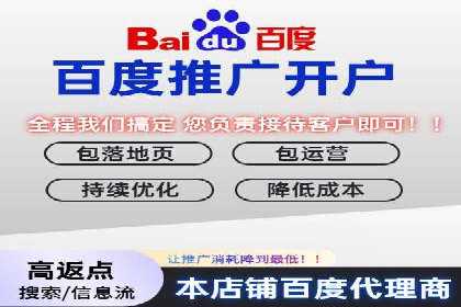 解析百度搜索推广的广告投放策略及效果
